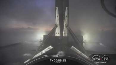 Photo of Багамы отозвали разрешение на посадку ракет SpaceX Falcon 9 у своих берегов
