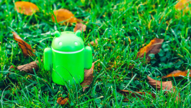 Photo of Названа самая популярная версия Android на сегодняшний день и это отнюдь не Android 15