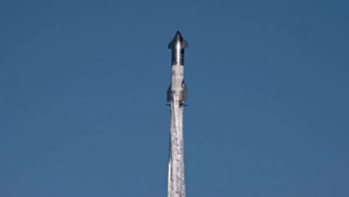 Photo of Регулятор разрешил запускать корабли SpaceX Starship в пять раз чаще прежнего