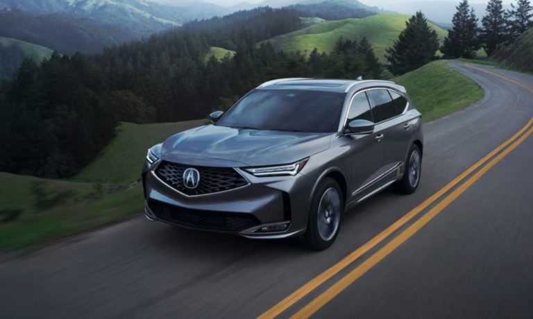 mdx1_large.JPG