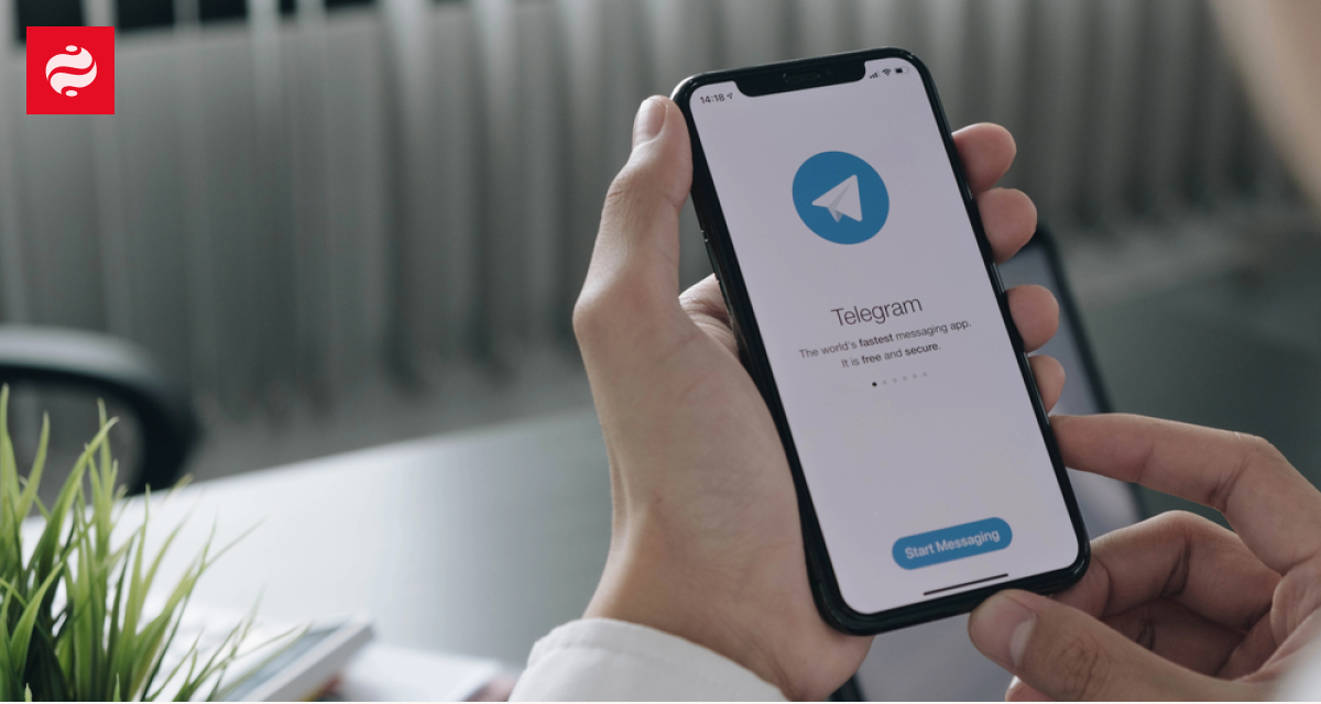 Telegram удалил пять украинских OSINT-каналов | Новости Украины
