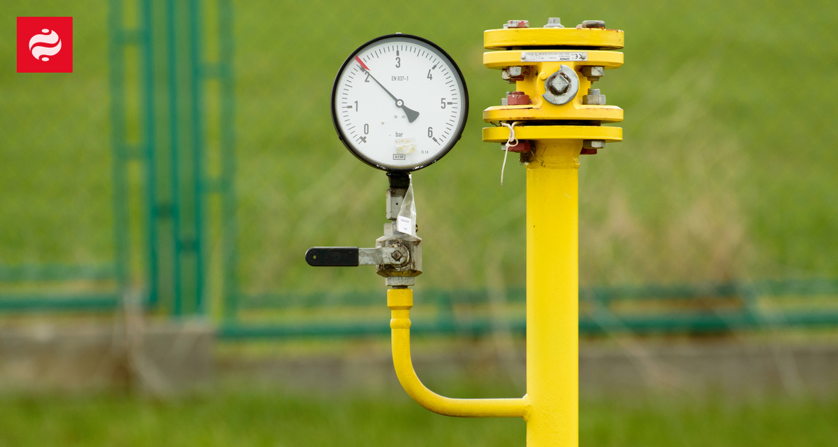Гарантированные мощности импорта газа из Польши увеличены более чем на год | Новости Украины